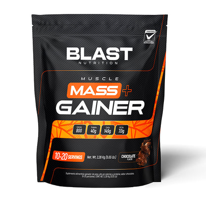 Mass Gainer - 10/20 Servicios