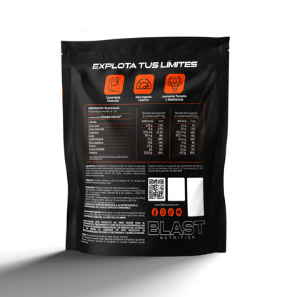 Mass Gainer - 10/20 Servicios